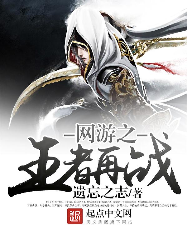 网游之王者再战的主角使用的是什么职业