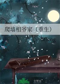 爬墙相爷家重生书包网