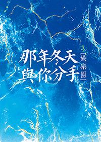 那年冬天我与你分手