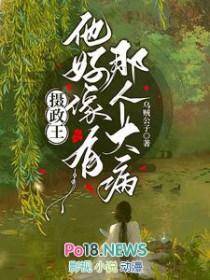 摄政王他好像有那个大病介绍