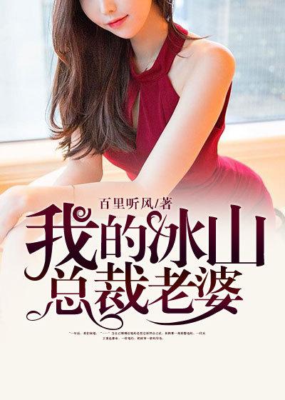 我的冰山总裁老婆TXT