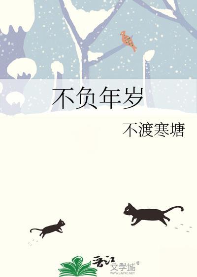 不负年岁歌词