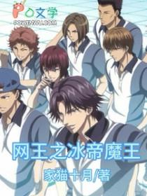 网王之冰帝推荐