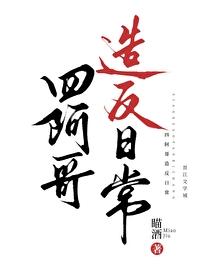 关于四阿哥的