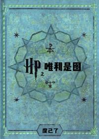 hp之voldy