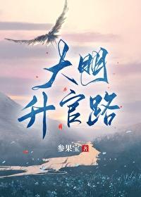 大明官途免费阅读全文