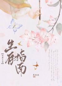 侯府的小妾全文阅读