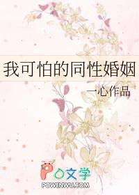 我可怕的同性婚姻讲的什么