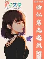恰似寒光遇骄阳可复制
