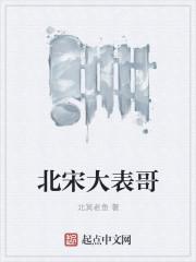 北宋大表哥 内容简介