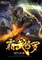 至霸武神修炼等级