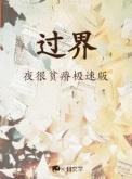 过界大结局