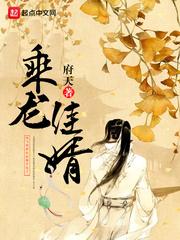 乘龙佳婿与乘龙快婿的区别