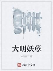 大明妖孽 评价