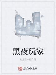 黑夜玩家有声书
