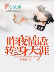 昨夜情话转身天涯实体书