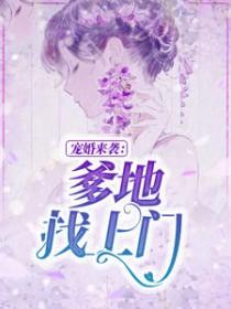 沐晴天景司寒免费阅读酷书包