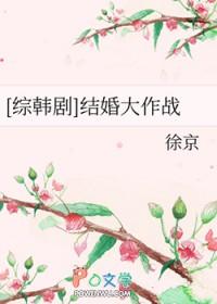 结婚大作战 日剧