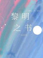 黎明之书游戏