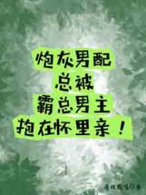 炮灰男配c位出道风短短