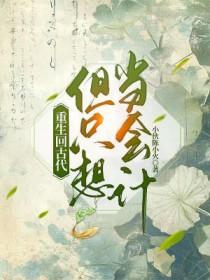 重生回古代但只想当会计晋江