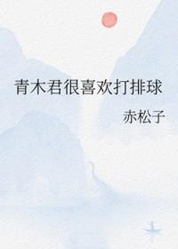 排球少年木兔bg