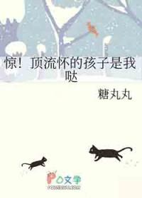 惊!顶流怀的孩子是我哒 糖丸丸