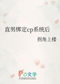 直男cp是什么意思