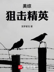 美综狙击精英同人