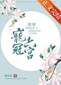 宠冠六宫清穿免费阅读