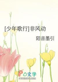 少年歌行之风