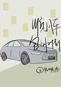 顺丰车包月