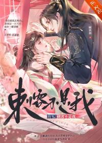 将军我不是故意的