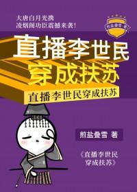 穿越成李世民遗孤的