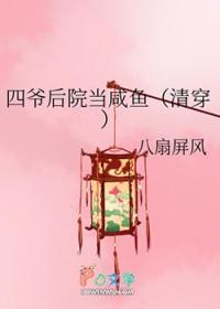清穿之四爷后院