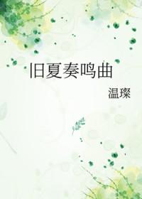 夏与冬的奏鸣曲解读