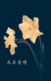 无关爱情下一句