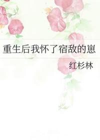 重生后我怀了男神的崽by