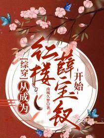 穿到红楼梦成为贾赦的