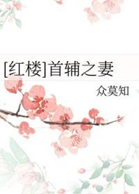 首辅攻略指南瞰雾最新