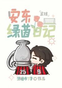 足球安东绿茵日记452