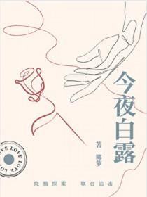 小镇谜案作者椰萝