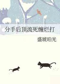 分手后跻身上流
