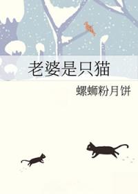 我的老婆是只猫图片