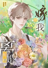 嫁给我免费阅读无弹窗