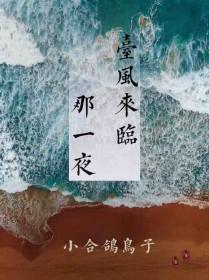 台风来临那一夜全文