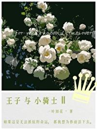 今天王子找回他的小骑士了吗免费阅读全集