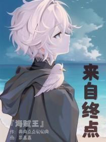 海贼王的终点是什么