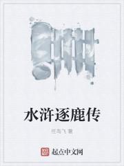 水浒逐鹿传大结局