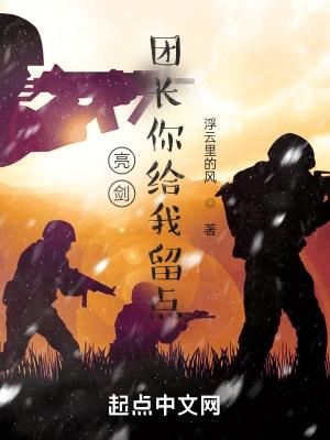 亮剑团长你给我留点/浮云里的风
